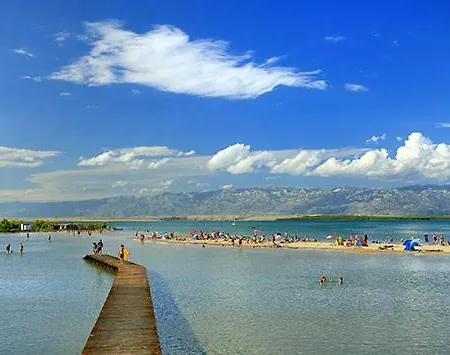 Niko Daire